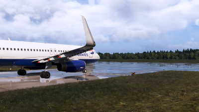 SoFly Airport ALIVE: Global Base Pack screenshot