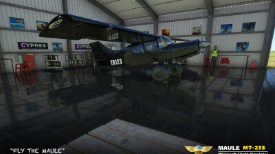 MAULE M7-235 screenshot