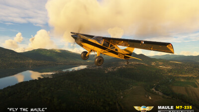 MAULE M7-235 screenshot