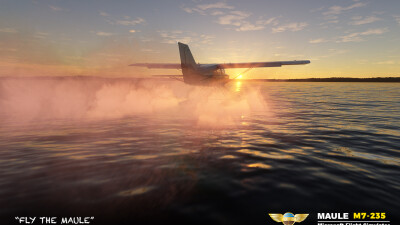 MAULE M7-235 screenshot