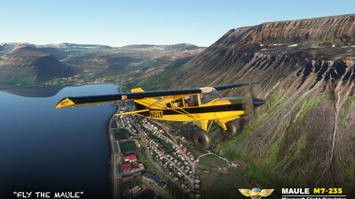 MAULE M7-235 screenshot