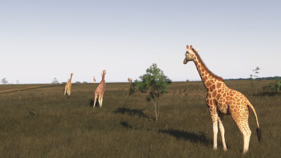 SamScene3D Nairobi Sightseeing City and Safari - Microsoft Flight Simulator 2024 screenshot