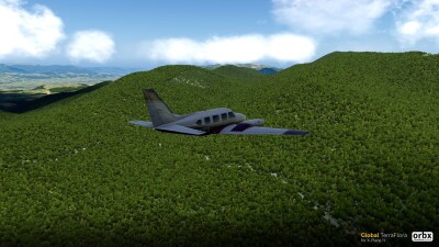 Global TerraFlora - X-Plane 11 screenshot