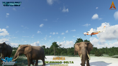 Okavango Delta - Microsoft Flight Simulator screenshot