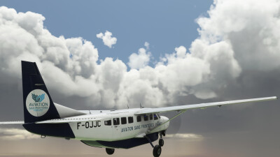 ASF Humanitarian Wings - Microsoft Flight Simulator screenshot